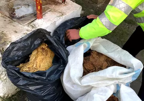 Poliția Română: 60 de persoane audiate şi 15 tone de tutun confiscate în urma percheziţiilor în 22 de judeţe şi Bucureşti