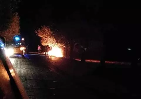 A ars de viu după ce a intrat cu mașina într-un copac pe un drum din Botoșani. Sfârșit înfiorător pentru un bărbat, în Vinerea Patimilor / FOTO&VIDEO