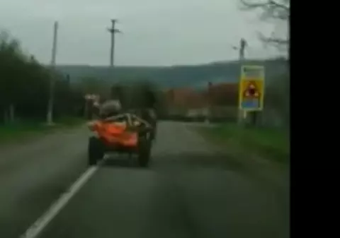 Doi cai au pornit în galop pe stradă cu căruța, fără căruțaș! Se putea întâmpla o tragedie!
