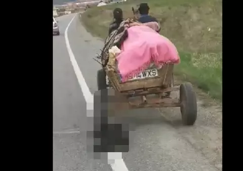 VIDEO | Imagini scandaloase pe o stradă din județul Brașov. Un câine legat de o căruță a fost târât fără milă