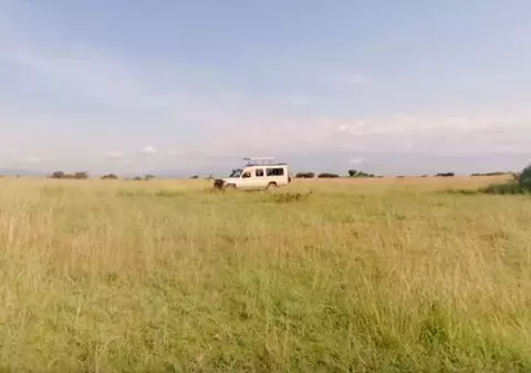 Un turist american și un șofer au fost răpiți dintr-un parc safari. Răpitorii cer răscumpărare