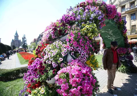 A început Festivalul Florilor la Timișoara. Primăria a cheltuit 200.000 de euro