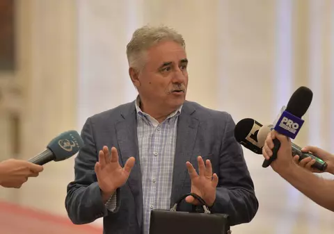 Vicepremierul Viorel Ştefan a fost numit membru al Curţii de Conturi Europene, o funcție cu salariu brut de 22.000 de euro, dar pentru care nu are experiență