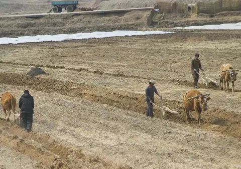 „Mi-am văzut vecinii murind de foame. Suntem blocați aici, așteptându-ne sfârșitul”. Dezvăluiri despre situația din Coreea de Nord, unde oamenii nu mai au ce mânca