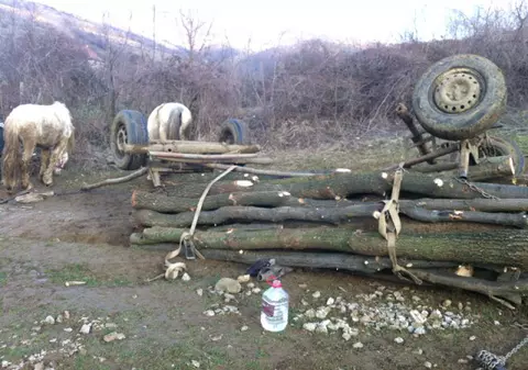 Un bărbat a murit după ce o căruță plină cu lemne s-a răsturnat peste el