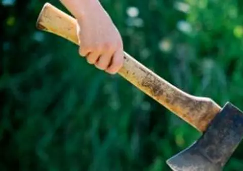 Un adolescent de 14 ani a fost condamnat pentru tentativă de omor. A înjunghiat un alt minor, după ce l-a atacat cu toporul