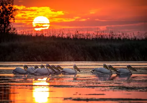 Sezonul în Delta Dunării începe la Sulina cu un parastasul piraților nepomeniți