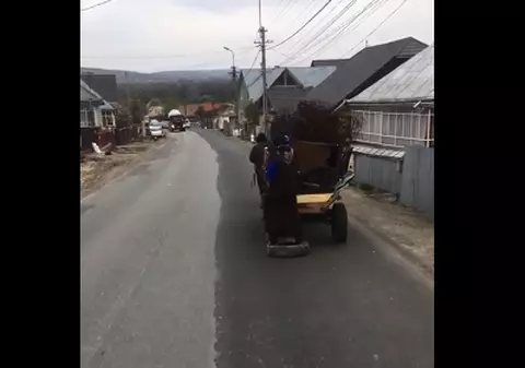 VIDEO | O femeie a fost folosită pe post de frână la căruță!