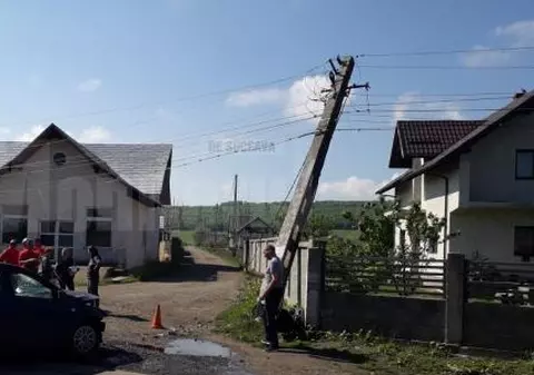 Un șofer a intrat cu mașina într-un stâlp din cauza unui porc! Animalul i-a sărit în brațe