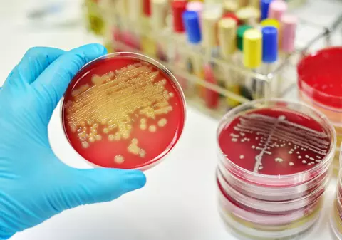 Încă doi copii cu stafilococ auriu, internați la Spitalul „Grigore Alexandrescu”. Explicațiile ministrului Sănătății