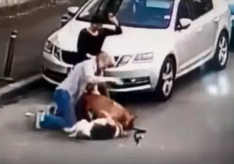 Ce riscă proprietara câinelui Amstaff care a atacat un cățel în București