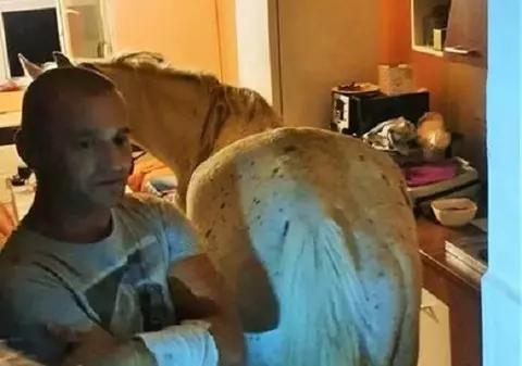 VIDEO | Un sătmărean locuia cu calul în apartament! A fost sancționat de polițiști
