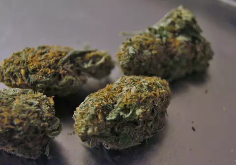 Canada legalizează cannabisul comestibil. Bomboanele și berea cu cannabis rămân pe lista produselor interzise