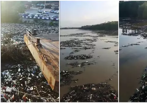 VIDEO | Tone de gunoaie plutesc pe Dunăre între Orșova, Drobeta-Turnu Severin și Insula Șimian