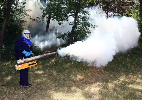 Invazie de ţânţari în București pentru că Primăria nu are de patru luni un contract de dezinsecție și s-a ratat campania din primăvară de omorâre a larvelor!