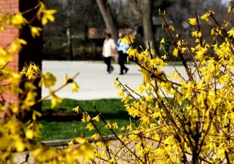 Prognoza meteo pentru perioada 24 iunie - 7 iulie. Vremea va fi caldă, chiar caniculară, dar instabilă