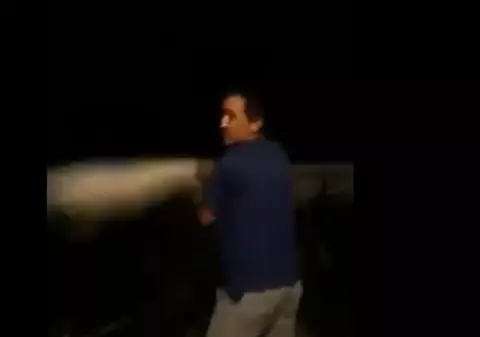 Imagini șocante! Un constănțean a fost filmat în timp ce își bătea joc de o pisică pentru a-și „distra” copilul! „Aşa se chinuie o mâţă, mă!”