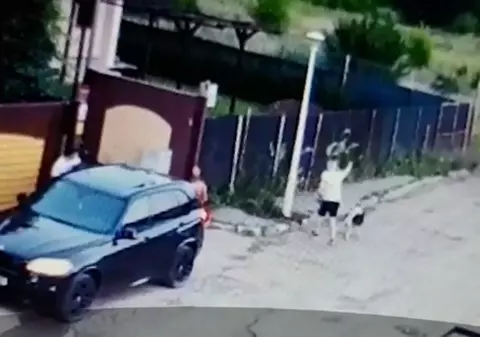 Un porc mistreț și-a făcut apariția pe străzile unui cartier din București!