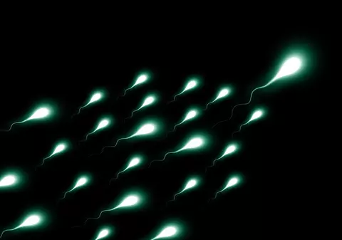 Justiţia din Australia a recunoscut drepturile de părinte ale unui donator de spermă