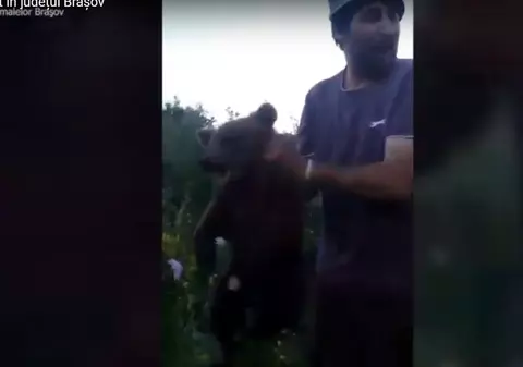 VIDEO ȘOCANT: Pui de urs, chinuit de mai multe persoane care l-au strâns de gât și lovit cu un băț! Poliția a deschis dosar penal