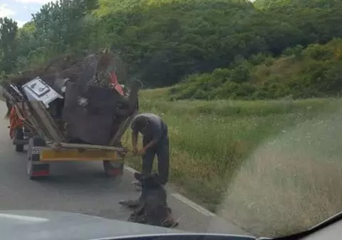 Un bărbat din Sălaj a târât un câine legat de căruță. Animalul a murit