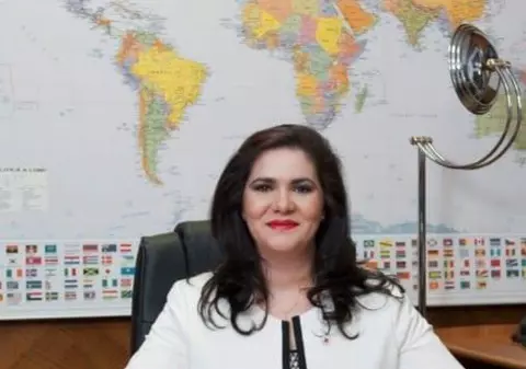 Reprezentanta MAE, în comisia specială din Parlament, despre votul din diaspora: „La Munchen au fost violențe verbale și fizice, amenințări cu moartea. În multe cazuri s-a intrat cu forţa în secţii”