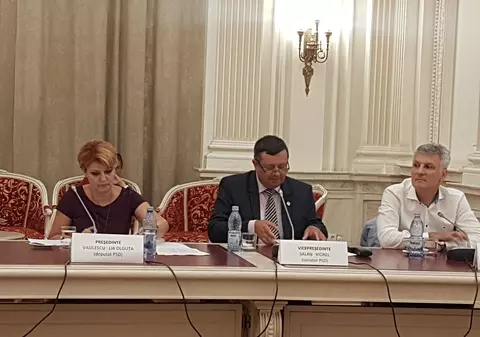 Comisia de anchetă privind posibile fraude la alegerile europarlamentare şi-a început activitatea. Reprezentanţii MAE şi MAI, audiaţi marţi în Parlament