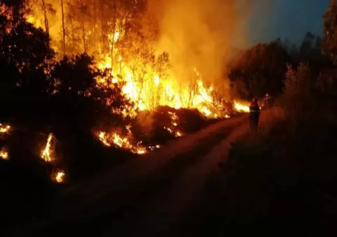 Incendiu de vegetație în Sardinia. Oamenii au fost evacuați de pe insulă