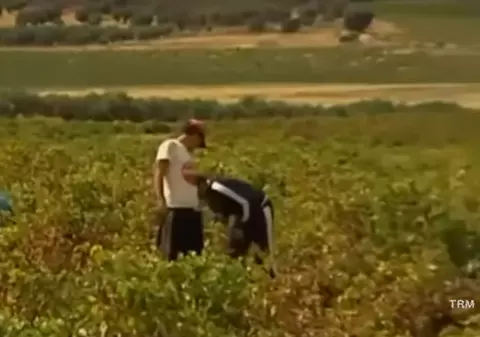 Un patron italian și concubina româncă, ambii aflați în arest la domiciliu, au continuat să-și exploateze muncitorii!