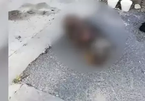 Proprietarul unui cățel bolnav de cancer, amendat cu 2.000 de lei. Și-a lăsat animalul să moară în stradă