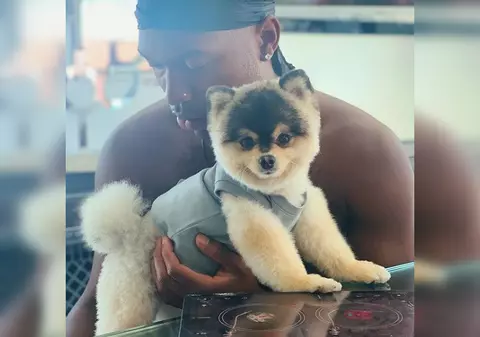 Casa lui Daniel Sturridge a fost spartă. Hoții i-au furat chiar și câinele. Cât e dispus fostul jucător de la Liverpool să plătească pentru a-și recupera patrupedul / FOTO&VIDEO