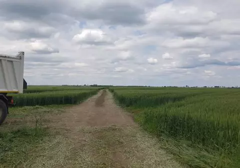 Exproprierile pentru drumul expres Craiova-Pitești, aprobate de Guvern