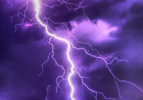 Cod galben de vijelii în județele Sălaj și Satu Mare