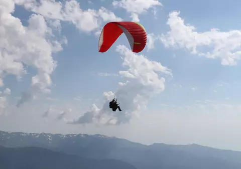 Un parapantist a fost atacat în aer de o acvilă de munte, în Franţa. Pasărea de pradă l-a rănit grav la gât