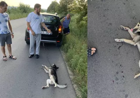 Imagini șocante cu un preot din Republica Moldova care a târât un câine cu mașina. „M-am comportat omenește, nu l-am otrăvit sau ucis” / VIDEO