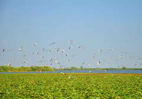 Plătește 1, Merg 2! 4 zile în Delta Dunării cu numai 1398 lei! (PUBLICITATE)