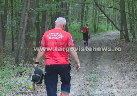 Un pădurar din Dâmbovița, cunoscut cu afecțiuni cardiace, a murit din cauza caniculei