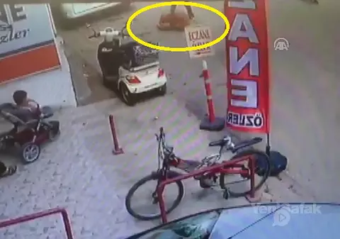 VIDEO | Au „hrănit” un pitbull cu o pisică gestantă! Doi copii au fost martorii scenelor horror