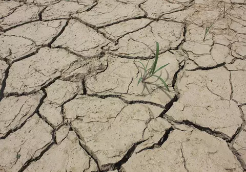 Peste 100.000 de hectare din 20 de județe, afectate de secetă - Ministerul Agriculturii