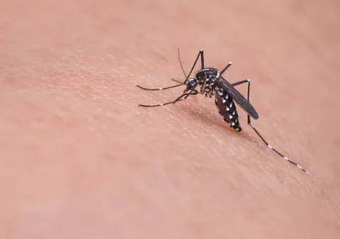O formă de malarie rezistentă la medicamente se răspândește rapid în Asia