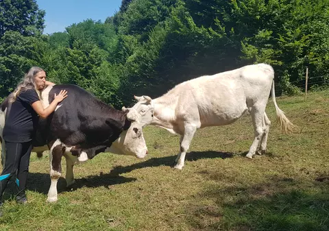 O bucureșteancă s-a mutat la țară și salvează vaci. ”Ciudata” cu animale de companie de o tonă!