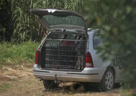 Animalele din curtea ”monstrului din Caracal” au fost luate. Unde ajung câinii lupi ai lui Gheorghe Dincă