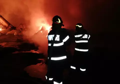 Incendiu devastator la un incinerator de animale din Tulcea