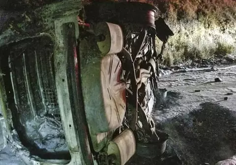 Un urs a căzut pe o mașină de poliție și a deteriorat-o complet. Vehiculul a explodat, dar animalul a scăpat