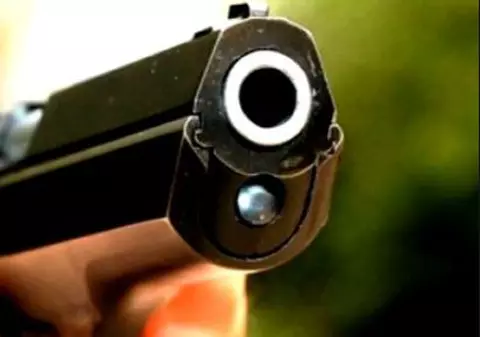 Bărbat din Argeș, împușcat de polițiști. I-a atacat pe agenți cu un cuțit