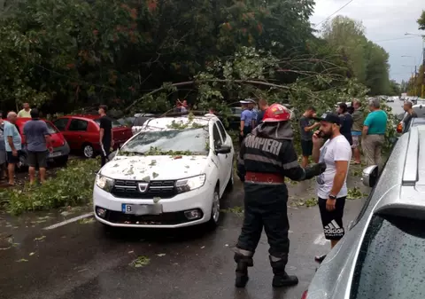 Furtună violentă în Constanța. Copaci smulși din rădăcină au căzut peste cablurile electrice și mașini