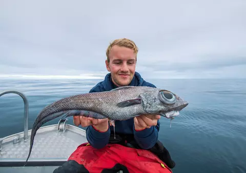 O creatură neobișnuită a fost prinsă în apele din Norvegia