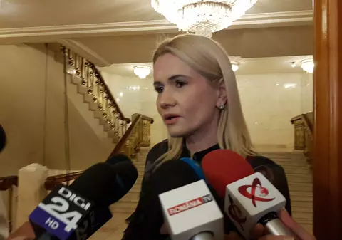 Deputatul PSD Laura Moagher, după ce consilierul ei a intimidat şi înjurat poliţiştii: "Voi înceta colaborarea cu el, nu tolerez un astfel de comportament"
