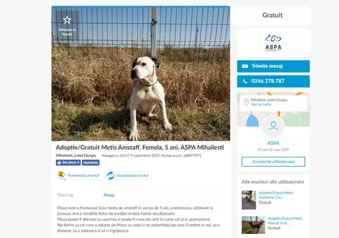 Cățeii din centrele ASPA, dați spre adopție pe OLX