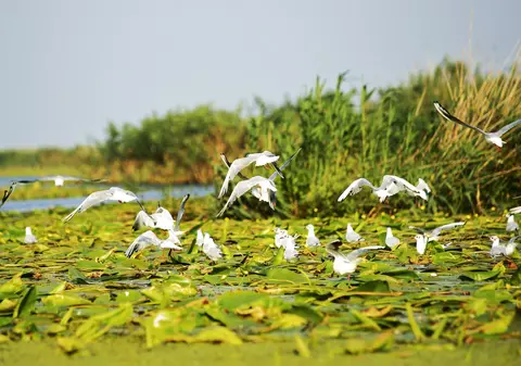 Early Booking 65% la pachetele Delta pentru Seniori și Delta pentru Toți 2020! (PUBLICITATE)
